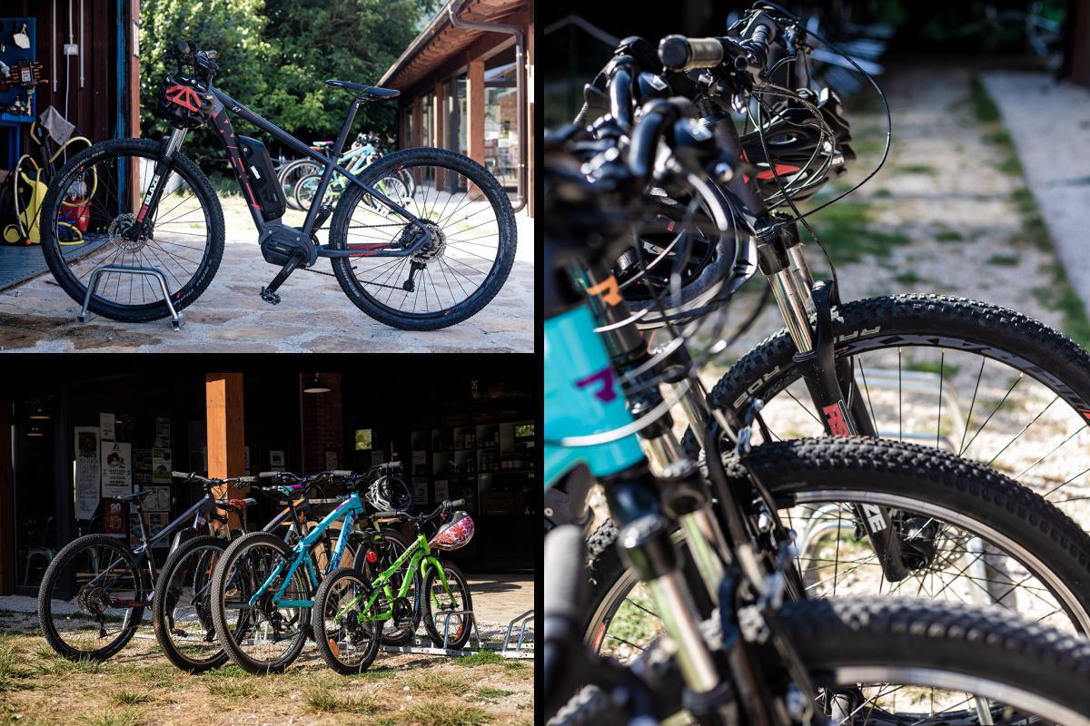 Alquiler de Bicis Alquiler de Bicis