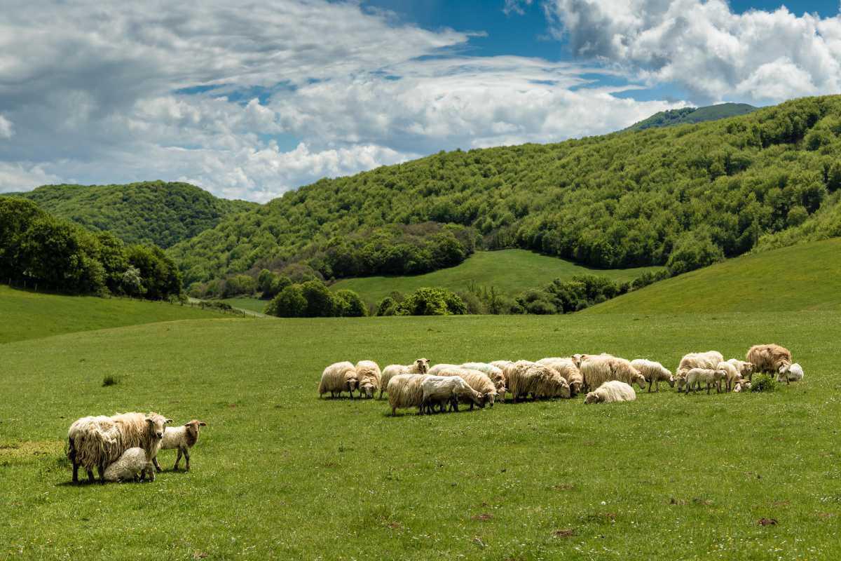 Copia de Piérderte por nuestra valle