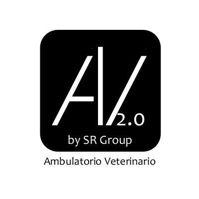 Proprietà e Responsabilità