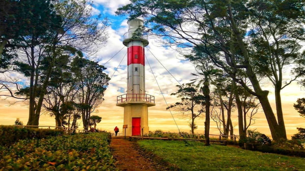 RCA Televisión RCA Televisión