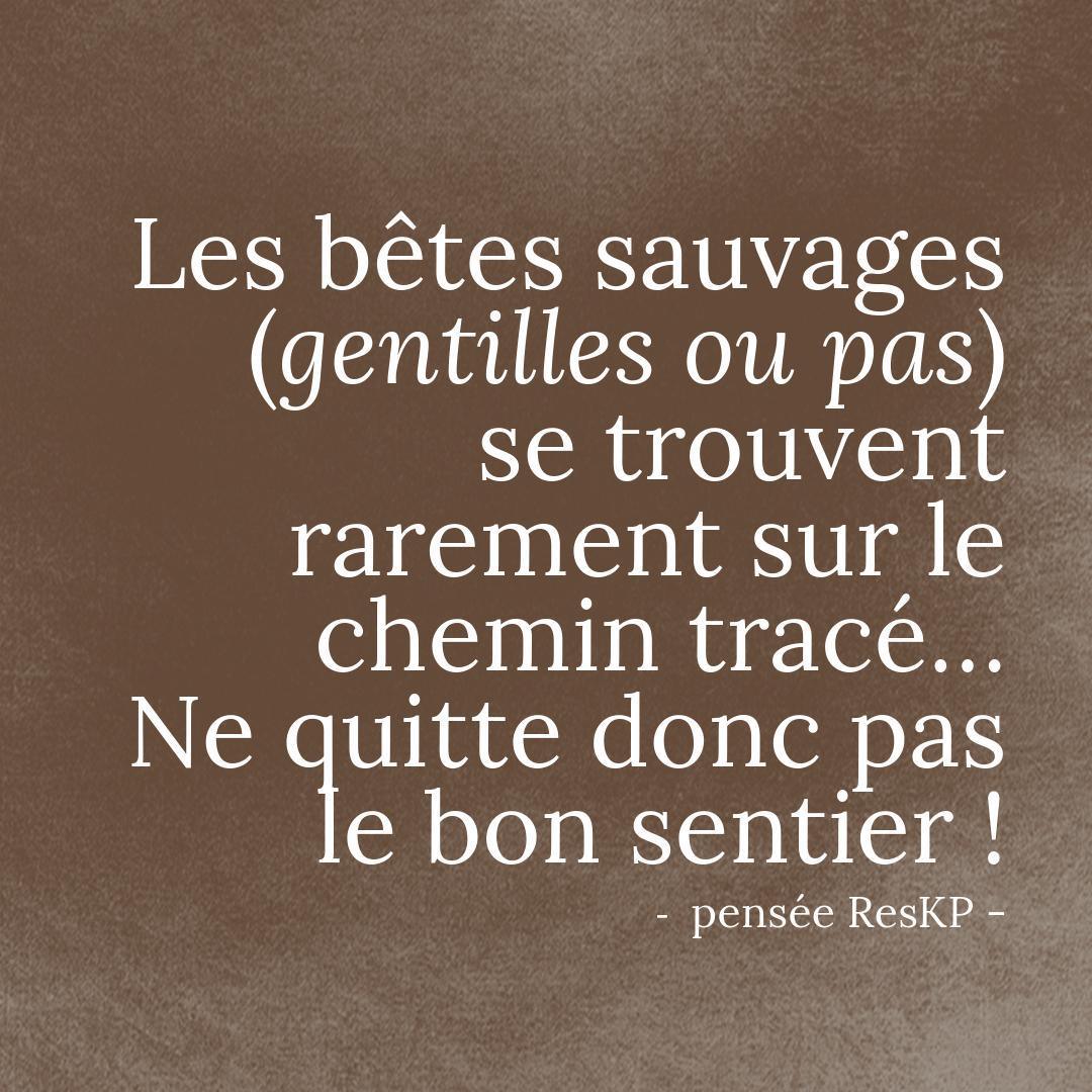 Pensée ResKP