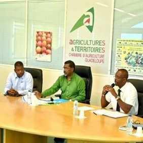 Rencontre sur la filière bovine à la chambre d'agriculture ! Rencontre sur la filière bovine à la chambre d'agriculture !