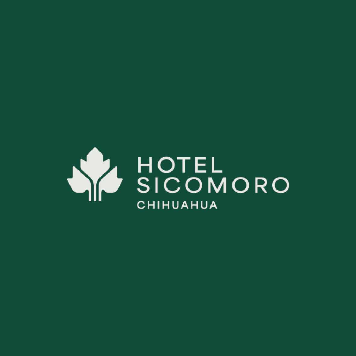 Hotel Sicomoro