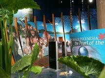Exposition Universelle: le stand Polynésie à Shanghaï prêt à J – 20 !