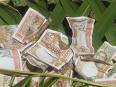 Conseil des ministres: Transparence dans l’attribution des subventions aux communes