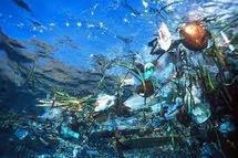 Une île de résidus du tsunami japonais dérive dans l’Océan Pacifique