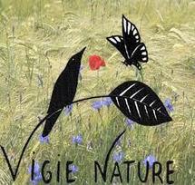 Et si on comptait trèfles et pâquerettes qui poussent sur nos trottoirs?