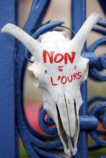 Le gouvernement renonce à lâcher un ours et consterne les amis de la bête