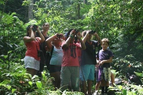 Protection du Monarque : Tahiti et Raroto'a, même combat
