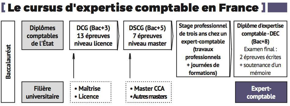 L Expert Comptable Ce Medecin De L Entreprise