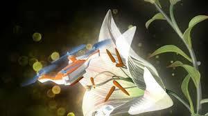 Des mini drones pollinisateurs à la rescousse des abeilles