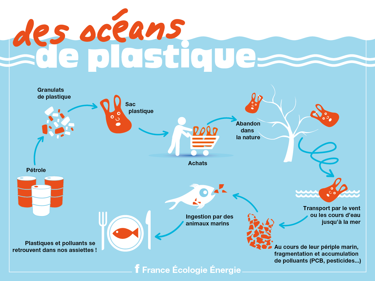 Le collectif Nana sac plastique veut changer les habitudes