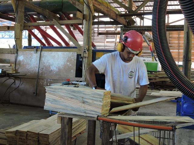La filière bois prête à être développée