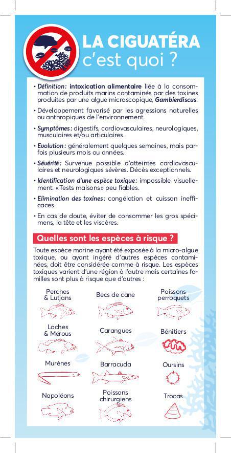 Ciguatéra : poissons perroquets et trocas parmi les espèces à risque