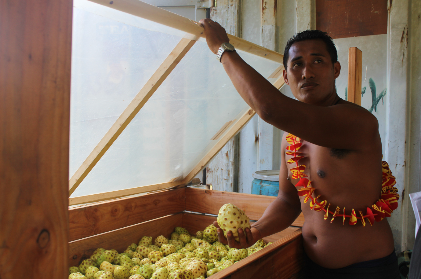 Ce jeune agriculteur de Papeari voit la vie en bio !