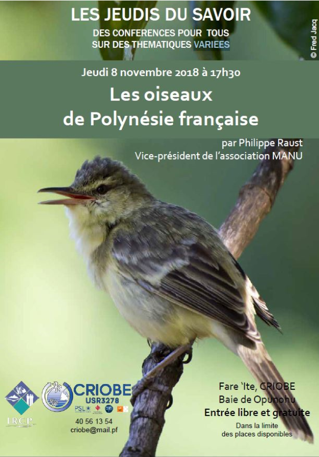Les oiseaux de la Polynésie française présentés par Manu