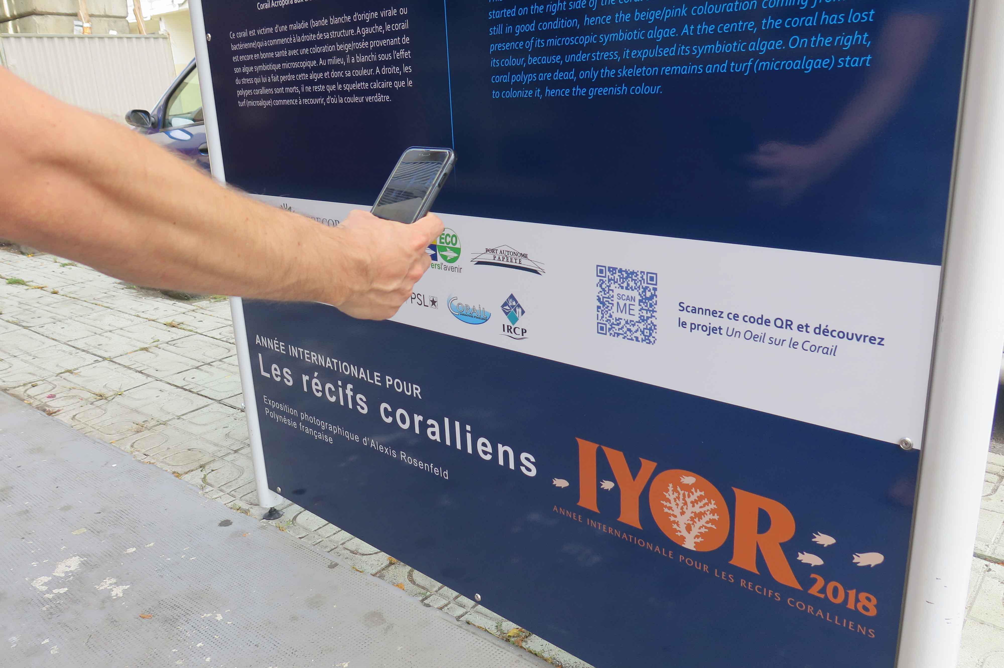 "Récifs coralliens, un enjeu pour l’humanité", la suite