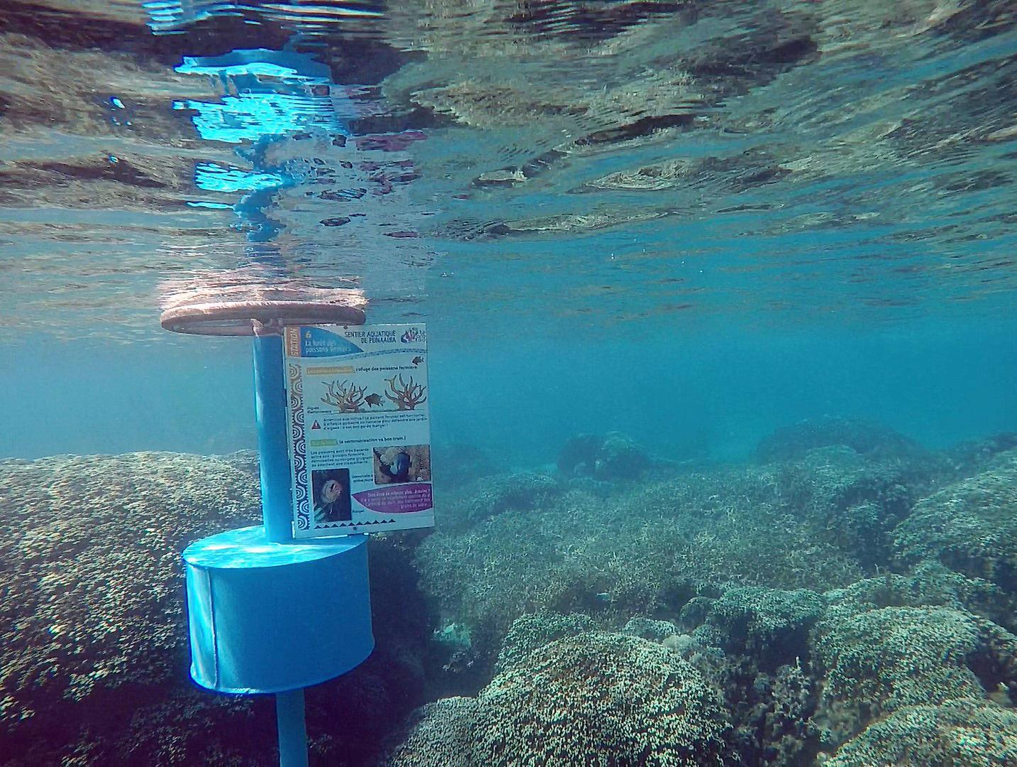 Neuf étapes composent le sentier aquatique de Vaiava est très facile d'accès. Crédit Fanny Seguin.