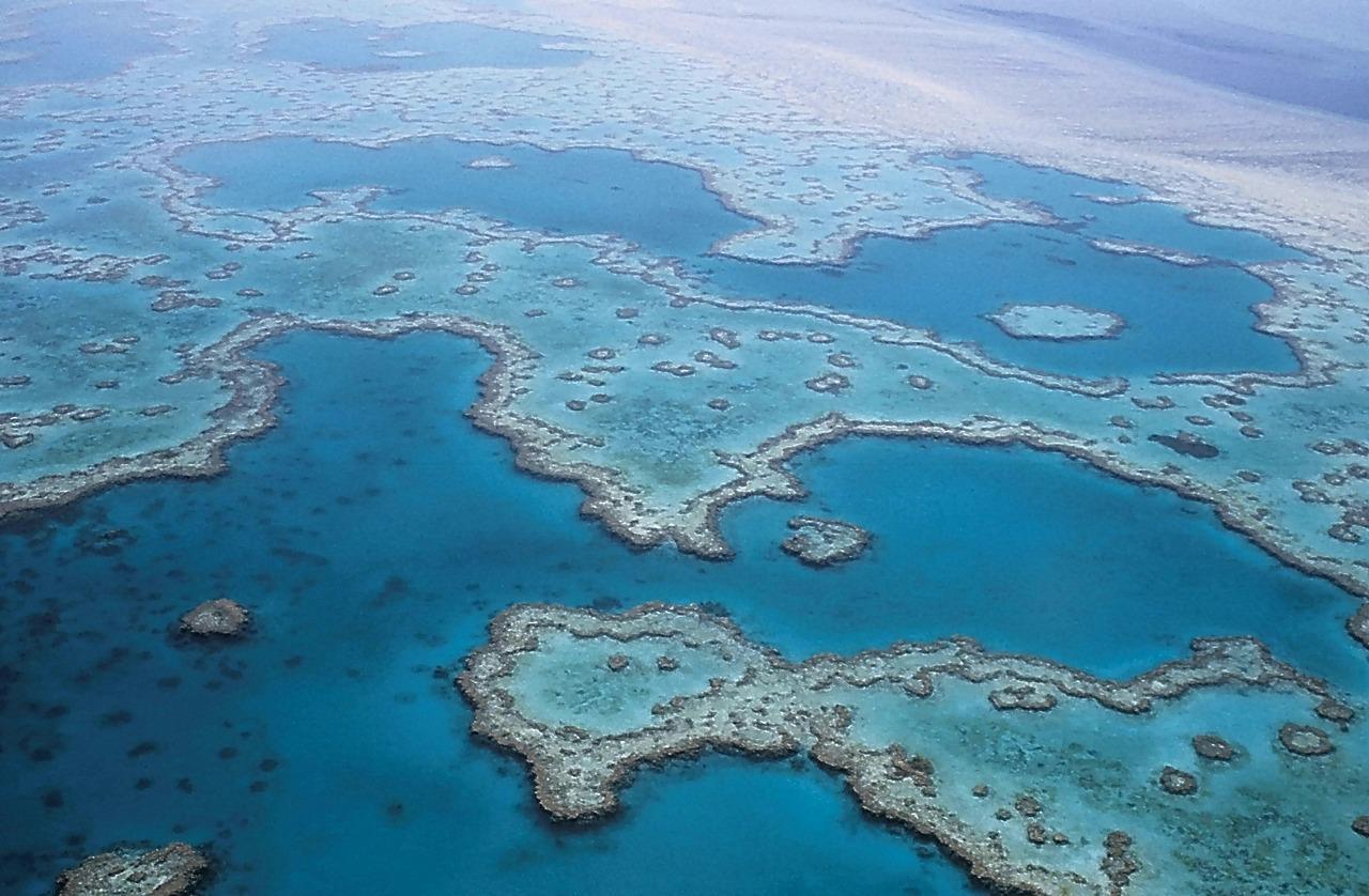 Inondations en Australie: les sédiments menacent la Grande barrière
