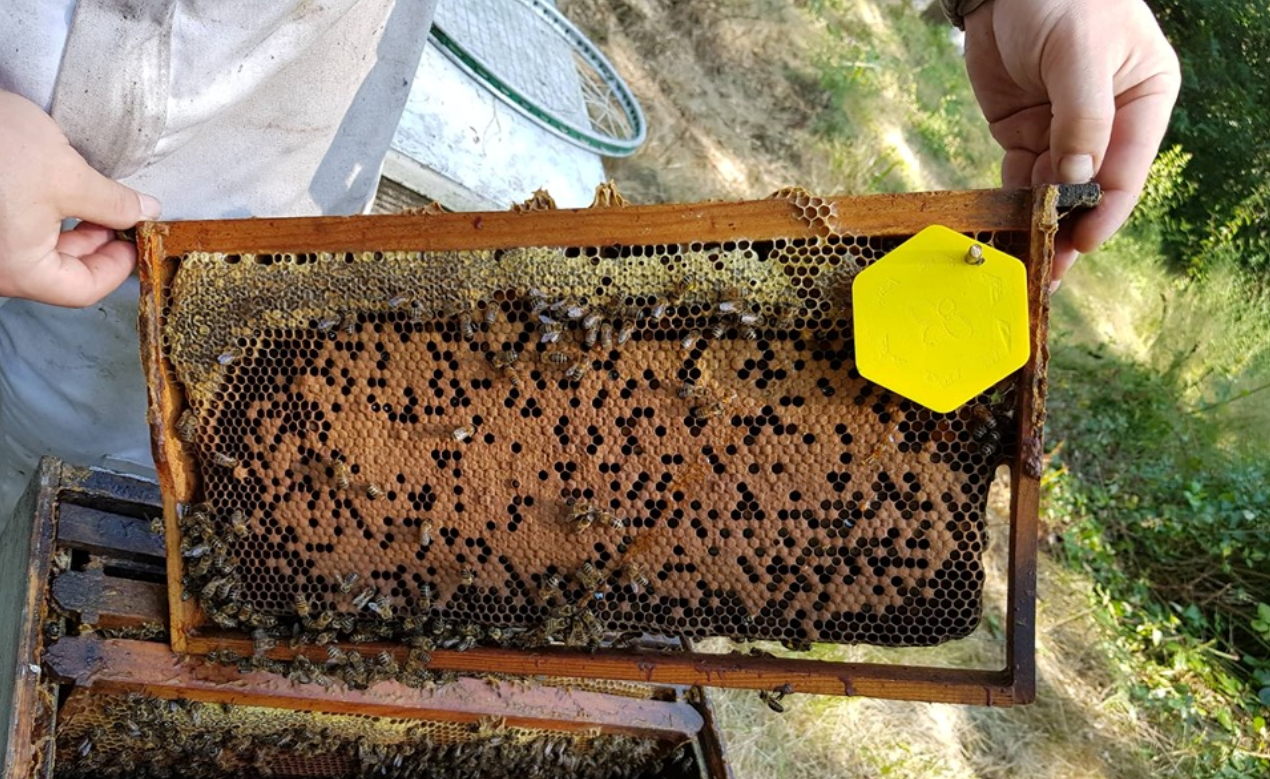 Les capteurs recueillent différentes données. Crédit LeadBees.
