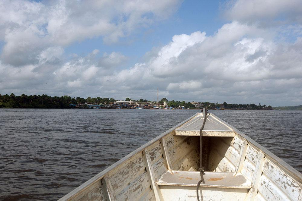 Dans les eaux guyanaises, la découverte d'un écosystème "unique au monde"