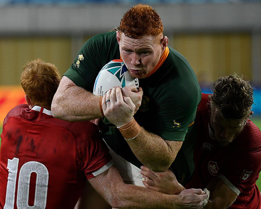 Les Springboks révisent leurs gammes contre le Canada