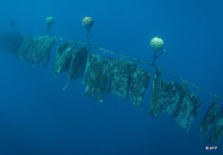 Pollution perlicole, comment les populations l'appréhendent ?