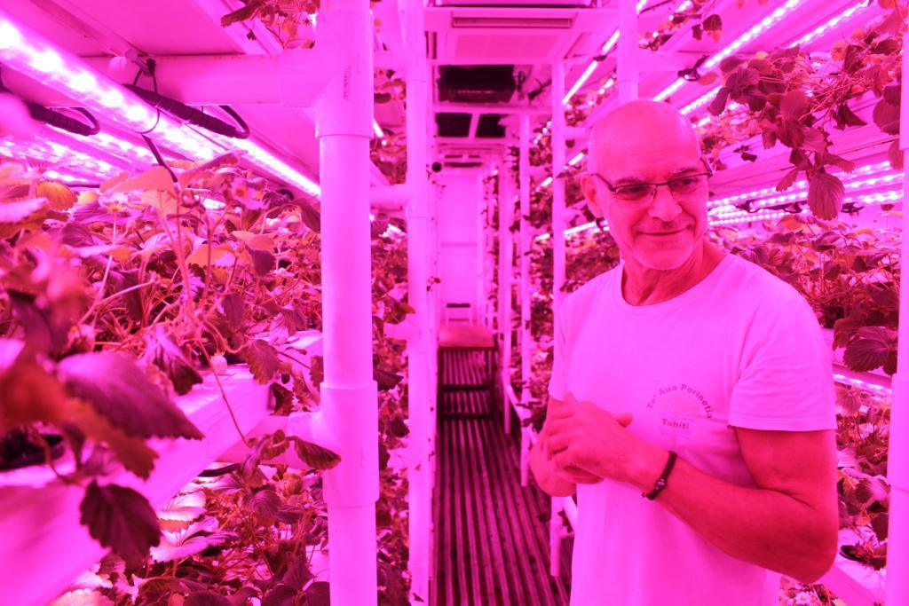 Les fraises hightech de la presqu’île