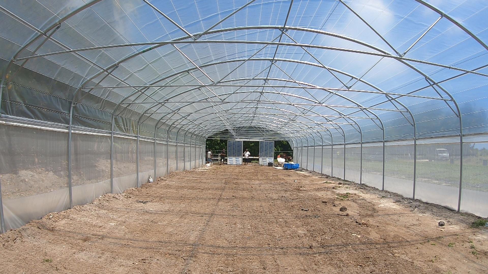 Des projets pilotes pour l'agriculture