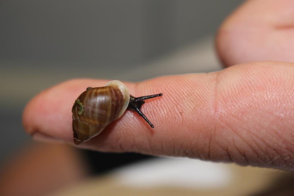 Concours Biodiversité, appel aux talents