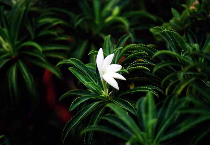 Concours Biodiversité, appel aux talents