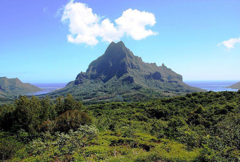 Dans un courrier adressé à de nombreuses institutions du Pays, la FAPE s'inquiète de l'accès au logement à Moorea et des éventuelles atteintes à l'environnement par des projets immobiliers.