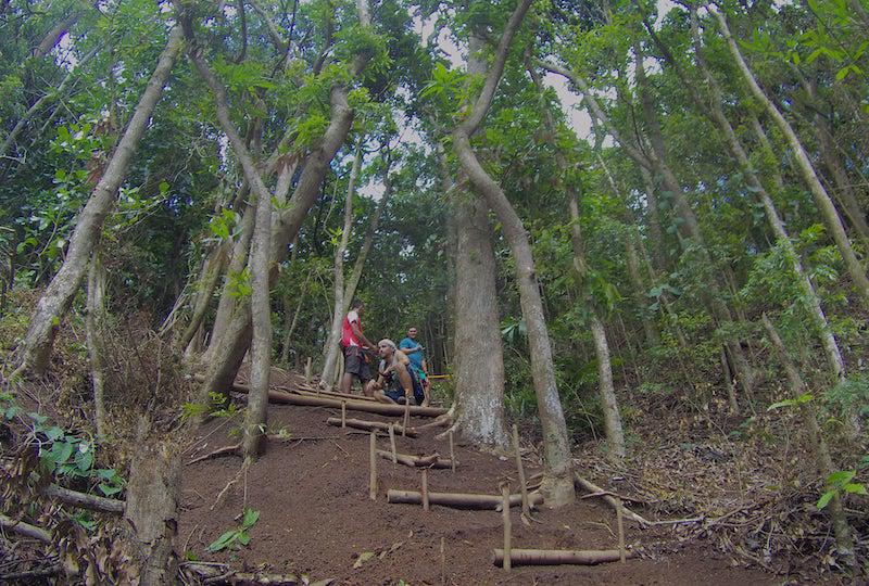 Moorea biodiversité : l'appel de la forêt