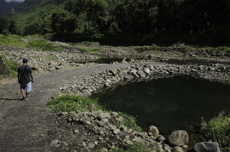 Extraction sauvage et (presque) sans conséquence à Faaone