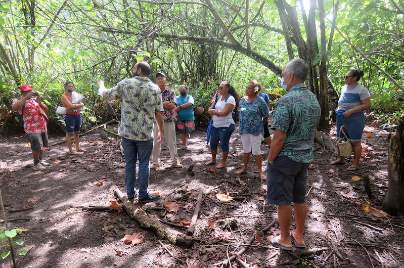 Moorea : un tour de l'île pour valoriser les zones humides