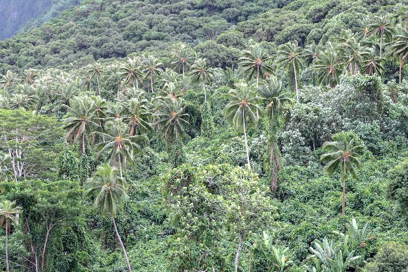 Appel à projets ABC : connaître la nature pour mieux la protéger