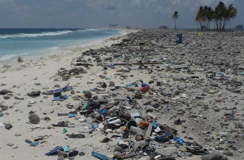 “Clipperton est loin d'être une île déserte”