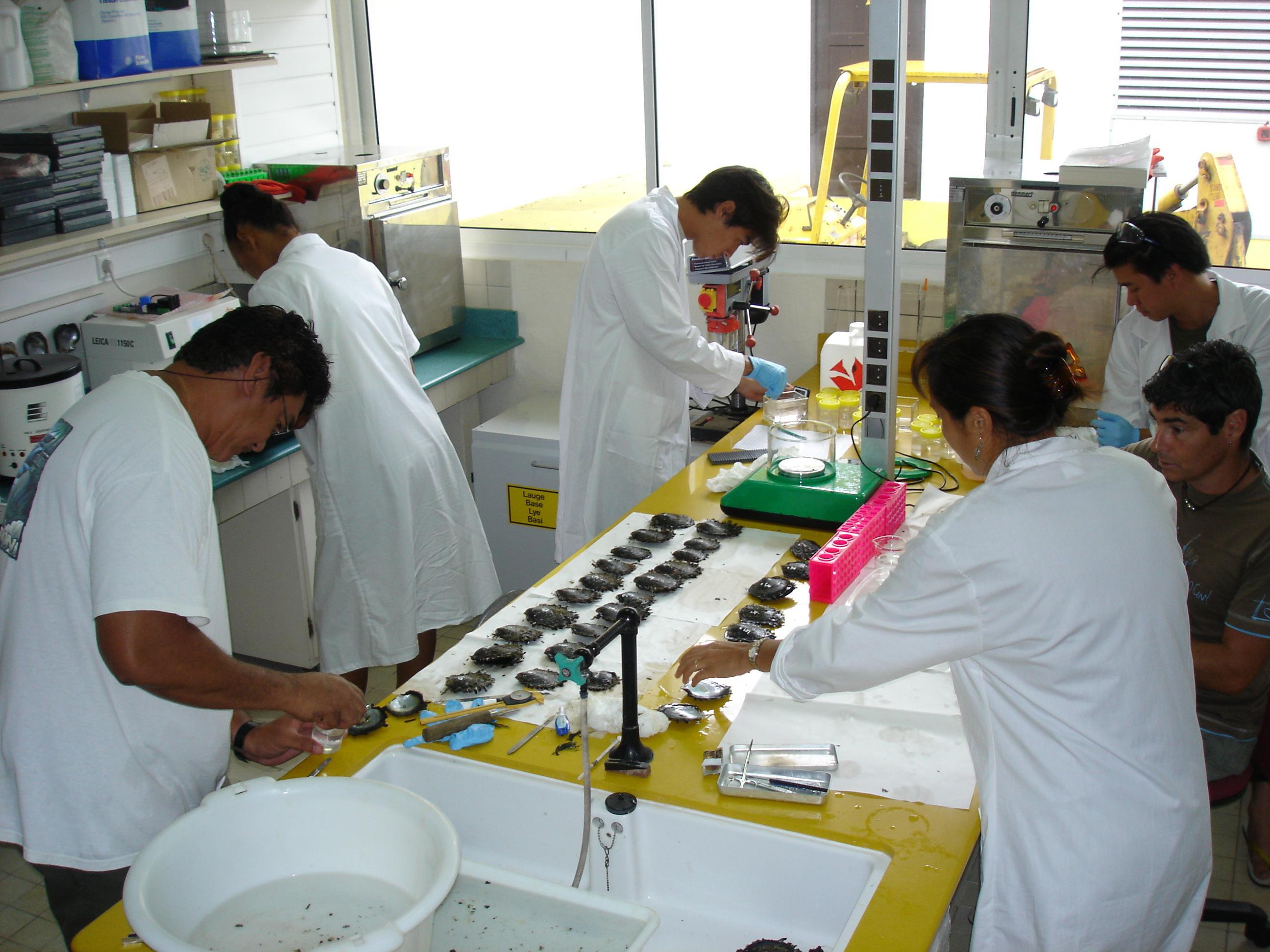Rencontres autour de la bioinformatique à l'Ifremer