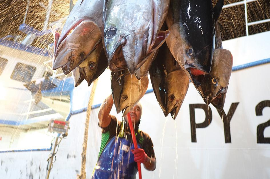 L’urgence d’un cadre clair pour les marins pêcheurs