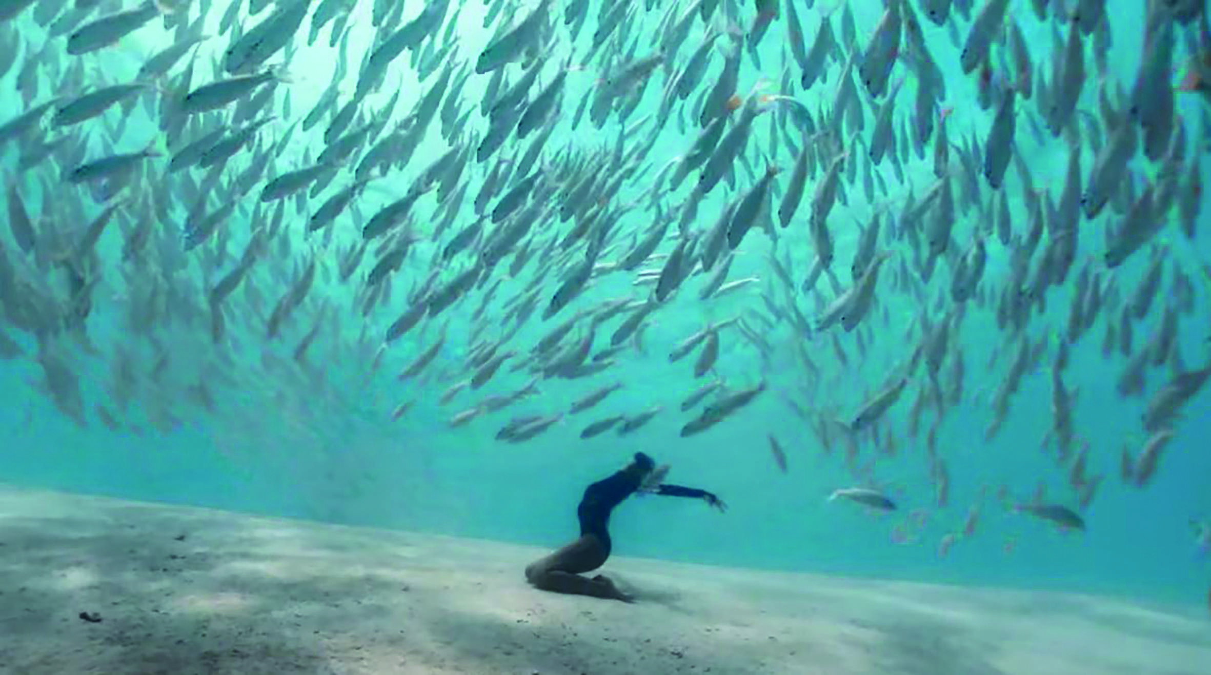 Un “aquaballet” époustouflant