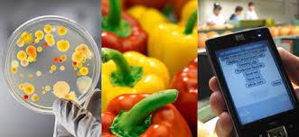 Avec la "foodtech", le petit plat n'est jamais très loin du smartphone