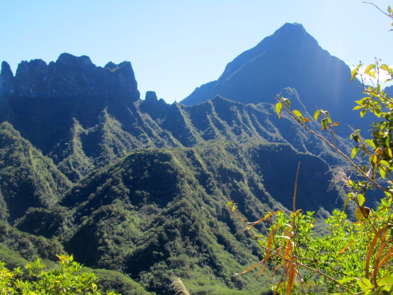 Dès l'arrivée sur le plateau de Tamanu après la montée, le panorama est magnifique. Là une vue sur le mont Te Hena o Mai'ao (Diadème), mais du plateau de Tamanu on voit également l'Aorai, l'Orohena et le mont Marau sous des angles moins classiques.