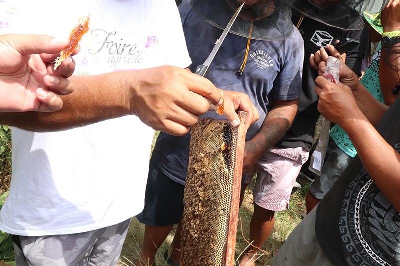 Huit apprentis se piquent d’apiculture