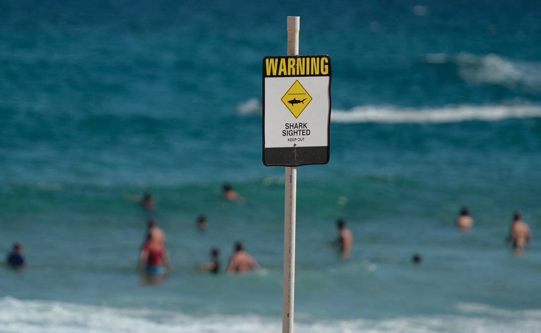 PETER PARKS / AFP