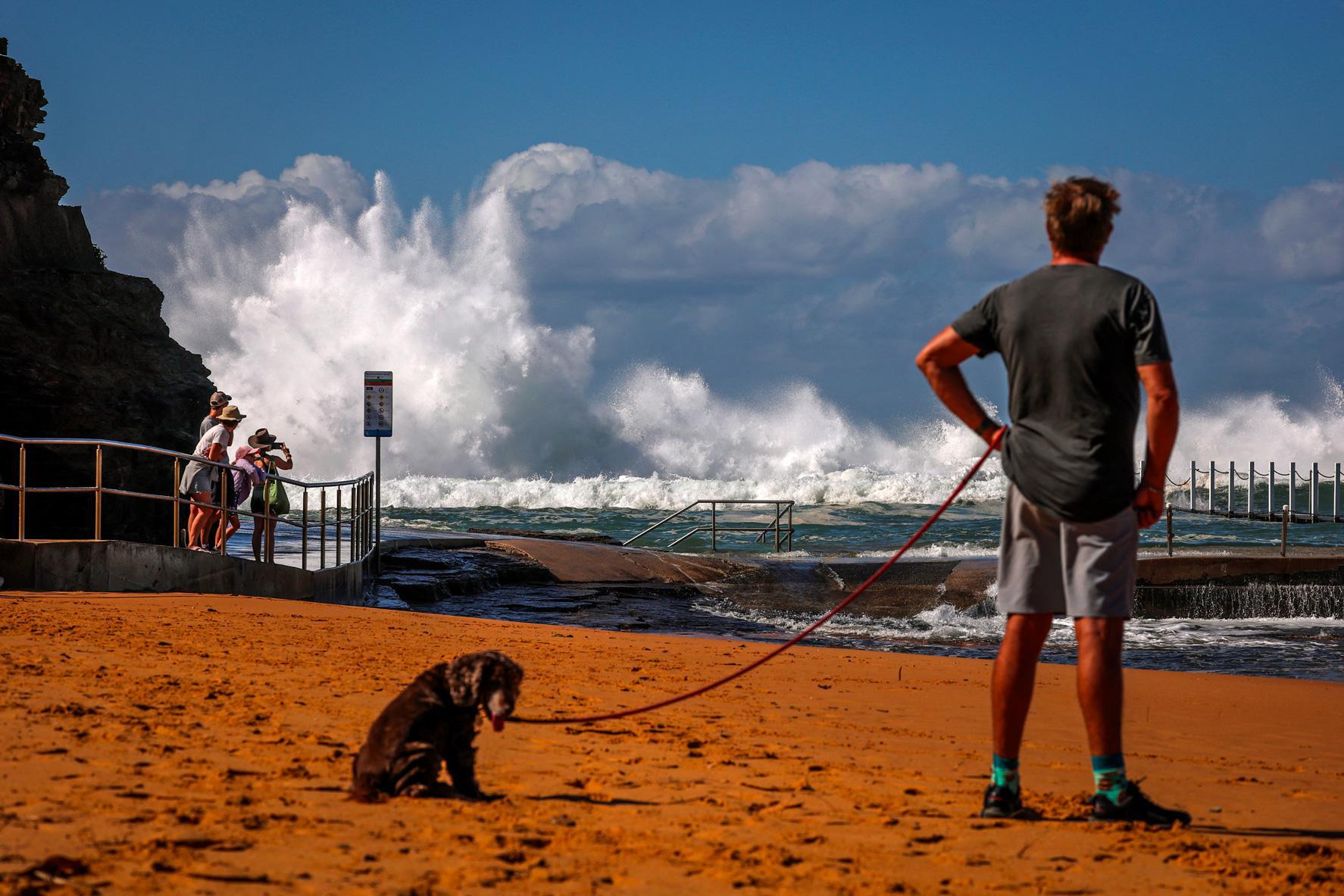 Crédit DAVID GRAY / AFP