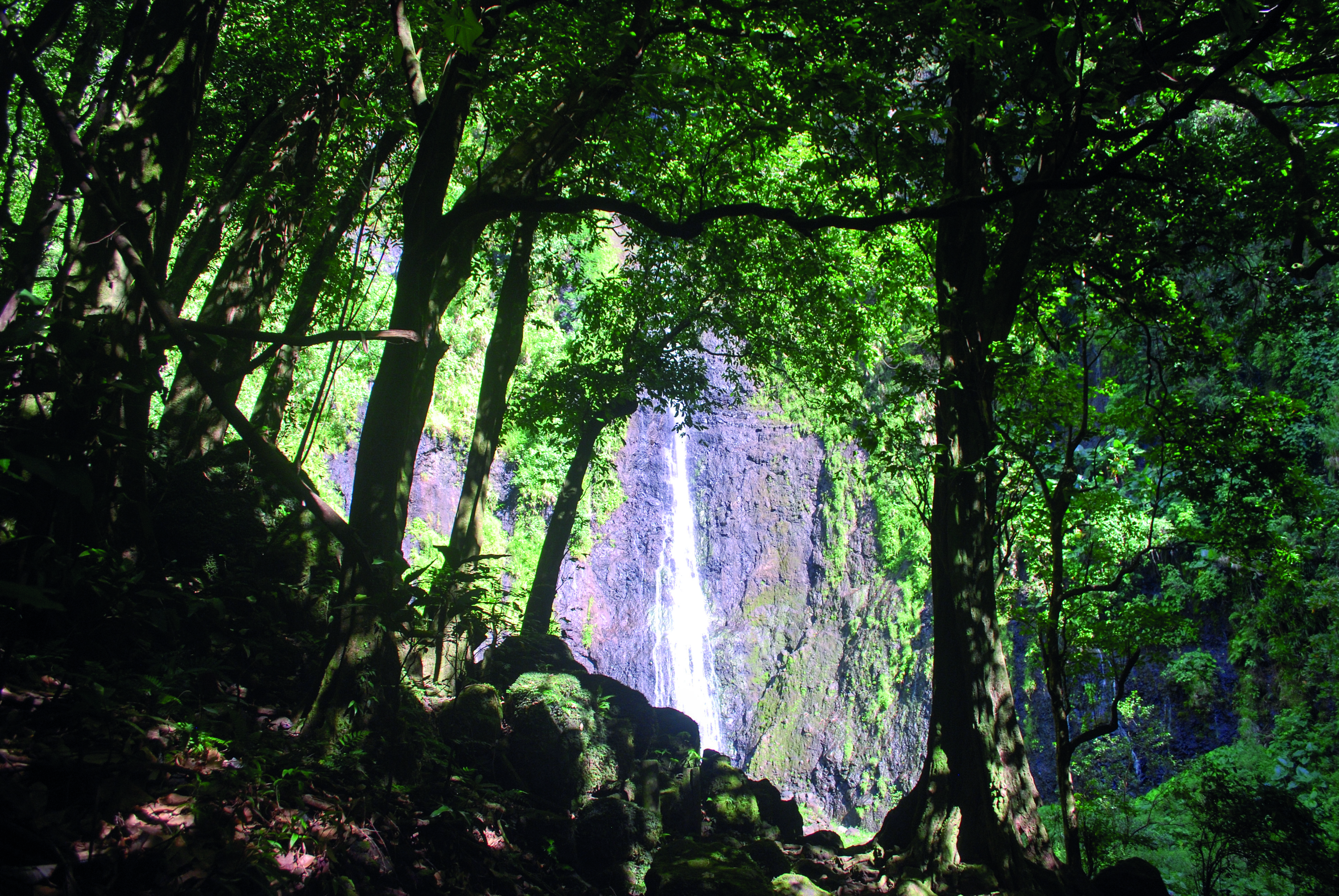 De l'eau coulait sur les parois de la montagne, Ivi et Faùai furent recouverts, et l'on dit depuis qu'ils vivent heureux derrière les cascades