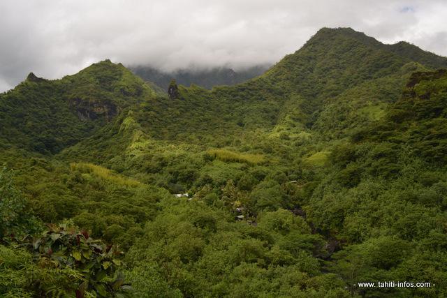 le haut de la vallée de la Papenoo vu depuis le relais de la Maroto.