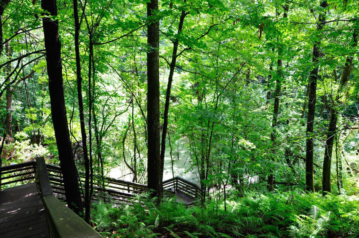 Gainesville- Stadt der Florida Gators Gainesville- Stadt der Florida Gators