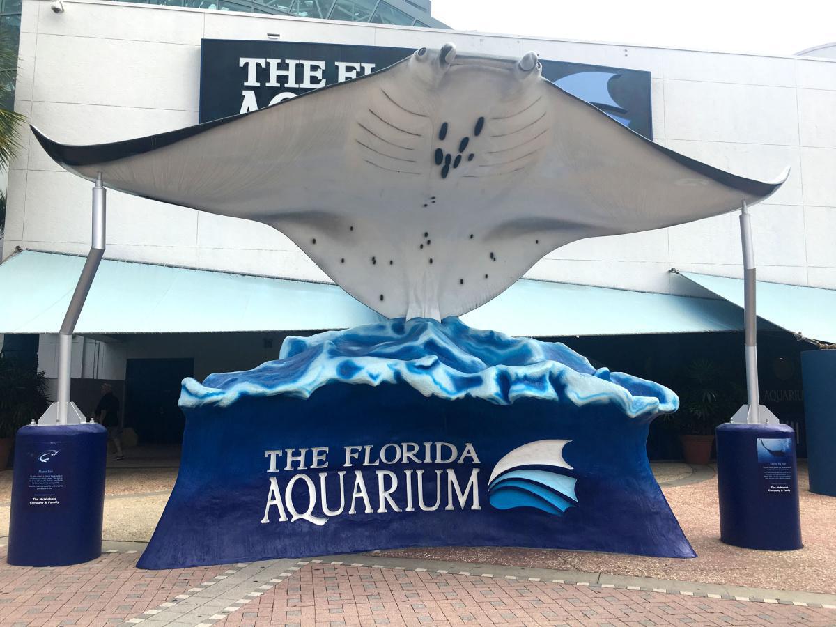 Tampa - Blick auf die Bay Tampa - Blick auf die Bay