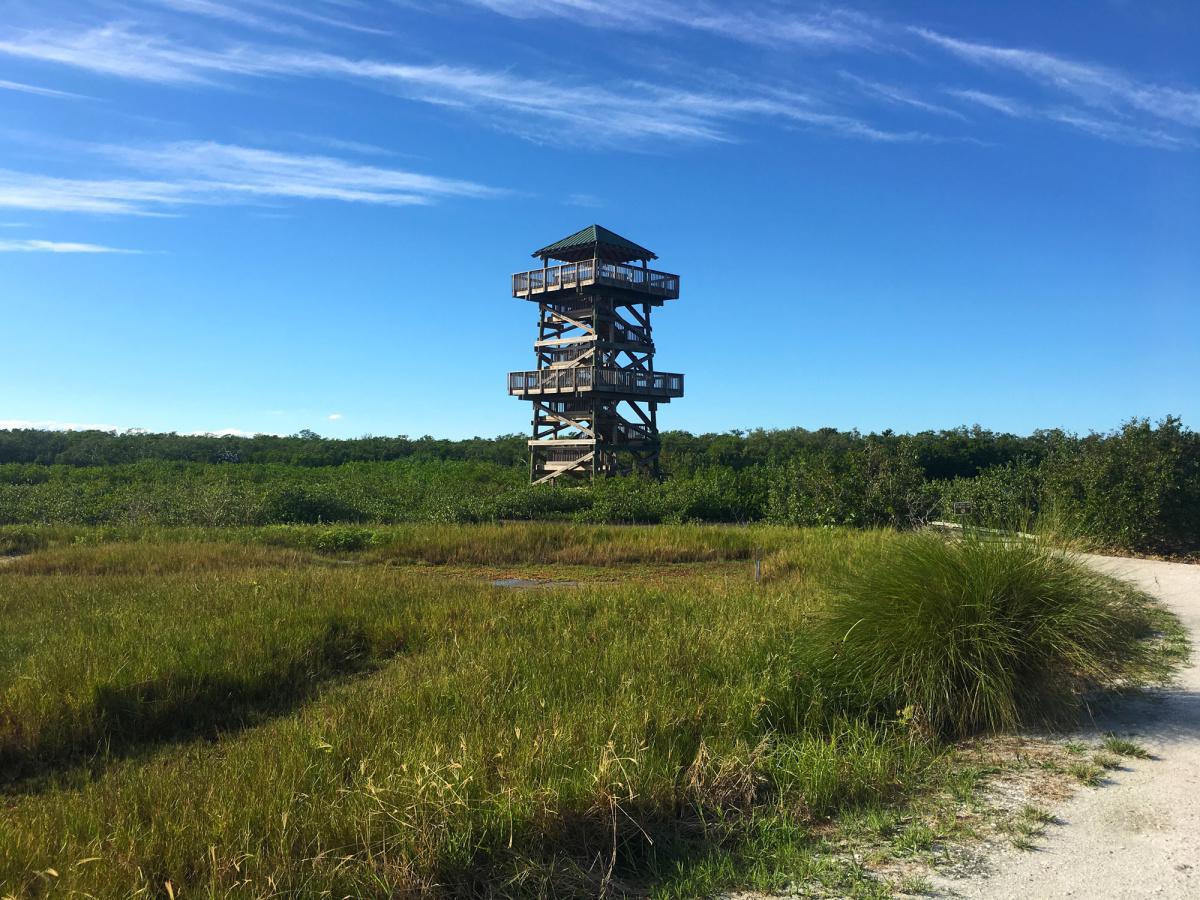 AMI, LBK und Bradenton - Idyllisch, ursprünglich und attraktiv AMI, LBK und Bradenton - Idyllisch, ursprünglich und attraktiv